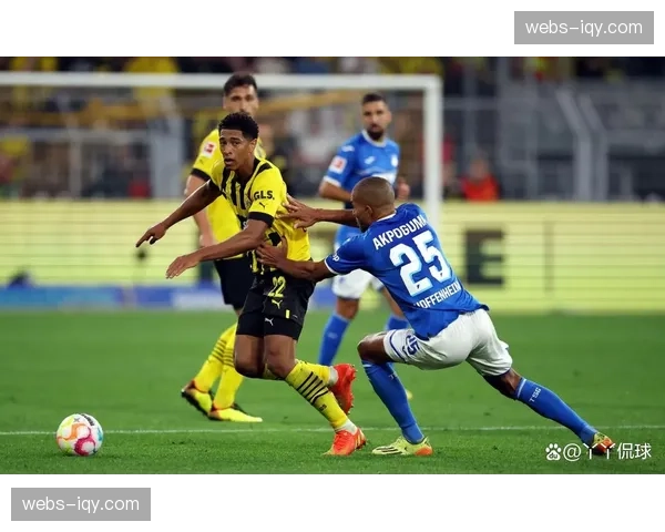 VAR争议再起：霍芬海姆对阵多特蒙德补时点球判罚引发讨论